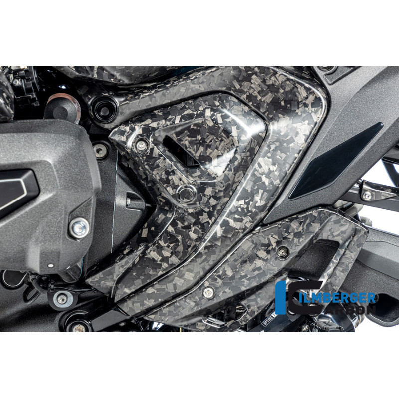 Cache de triangle de cadre gauche carbone pour BMW R 1300 | Ilmberger Carbon