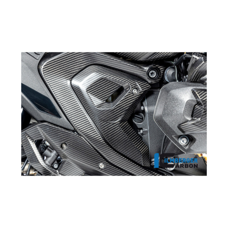 Cache de triangle de cadre droit carbone pour BMW R 1300 | Ilmberger Carbon