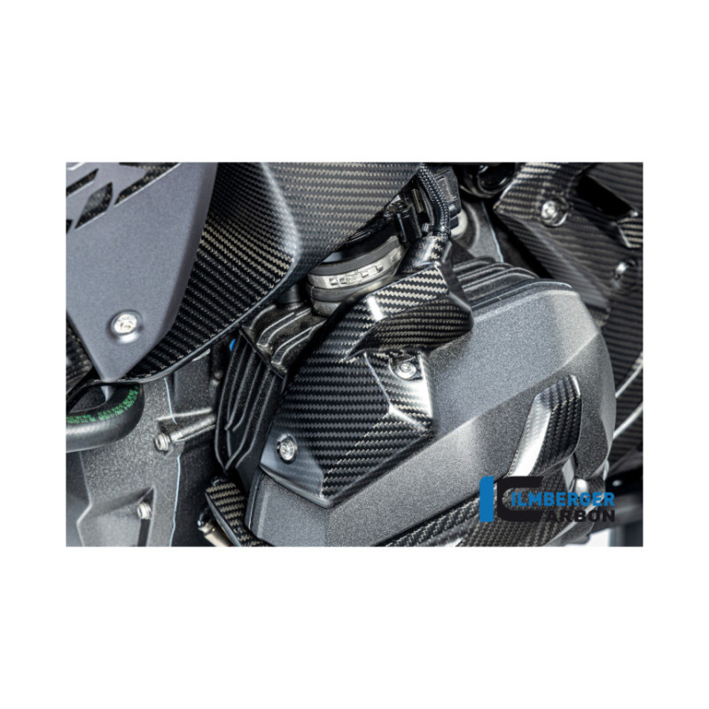 Cache d'injecteur gauche carbone pour R 1300