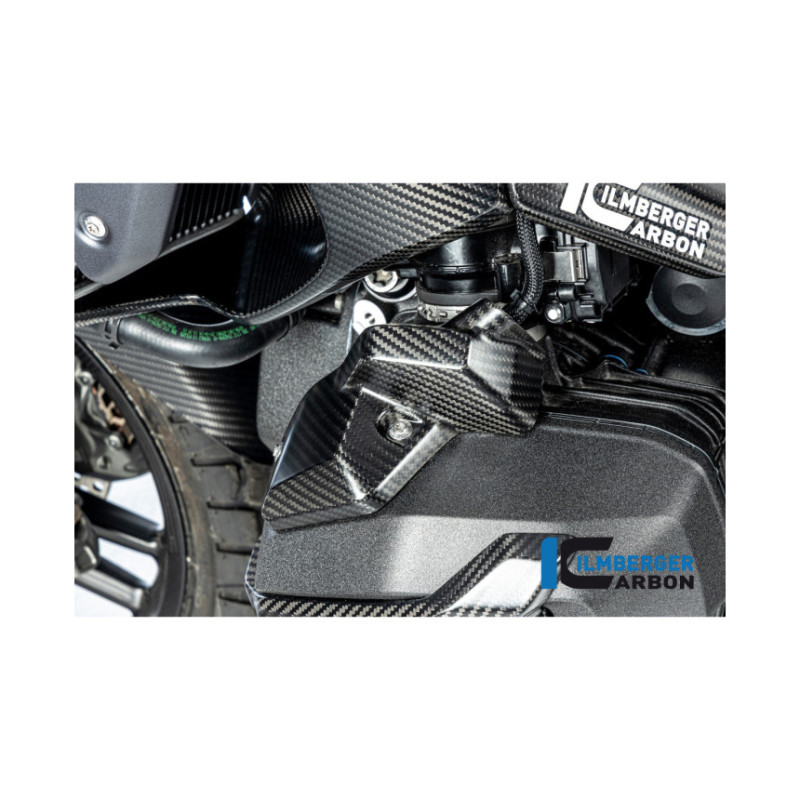 Cache d'injecteur gauche carbone pour R 1300