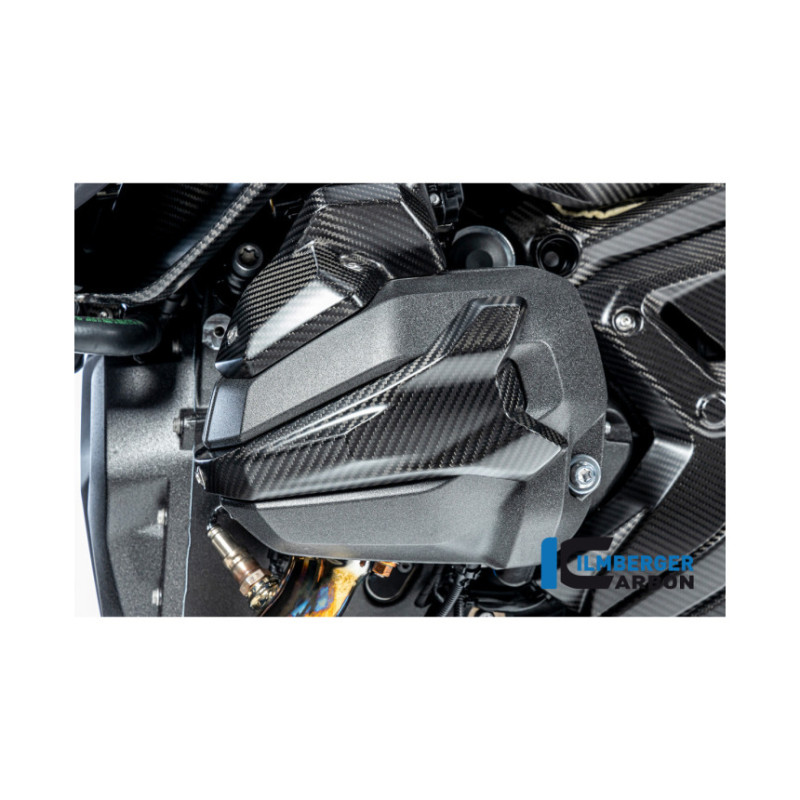 Couvercle de bobines d'allumage gauche carbone pour R 1300
