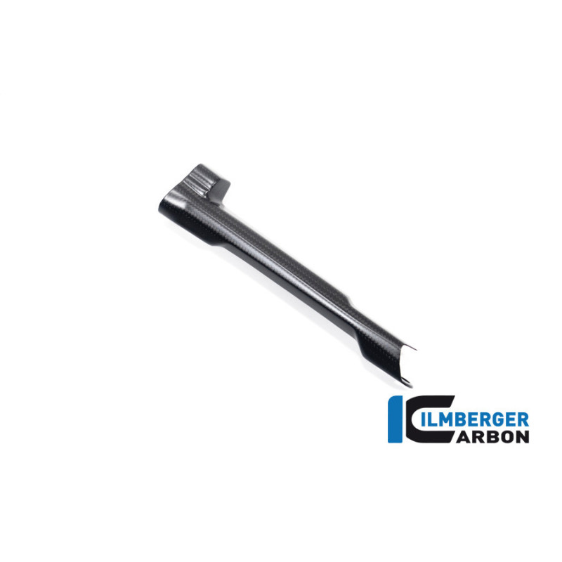 Cache de durite de frein carbone pour BMW R 1300 | Ilmberger Carbon