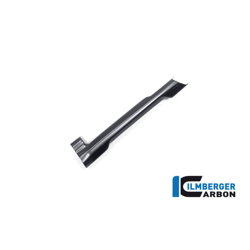 Cache de durite de frein carbone pour BMW R 1300 | Ilmberger Carbon