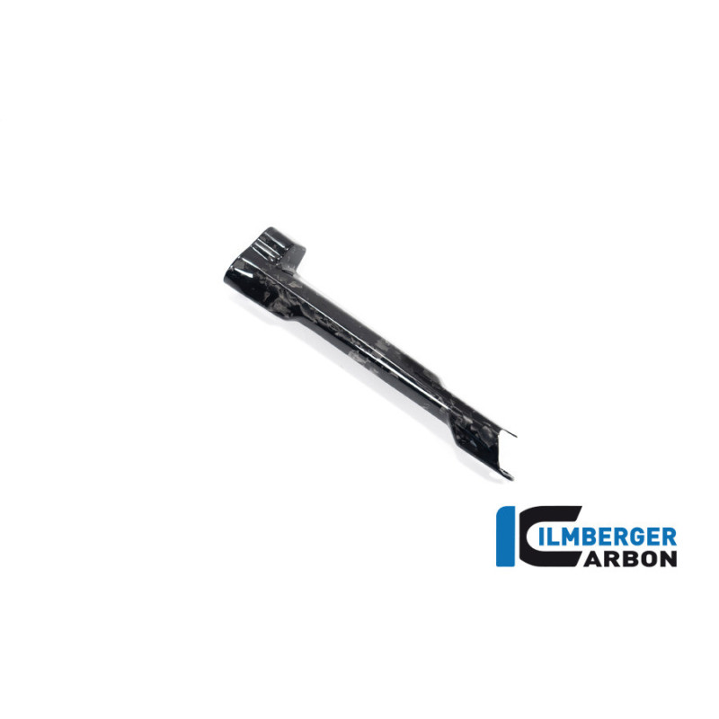 Cache de durite de frein carbone pour R 1300