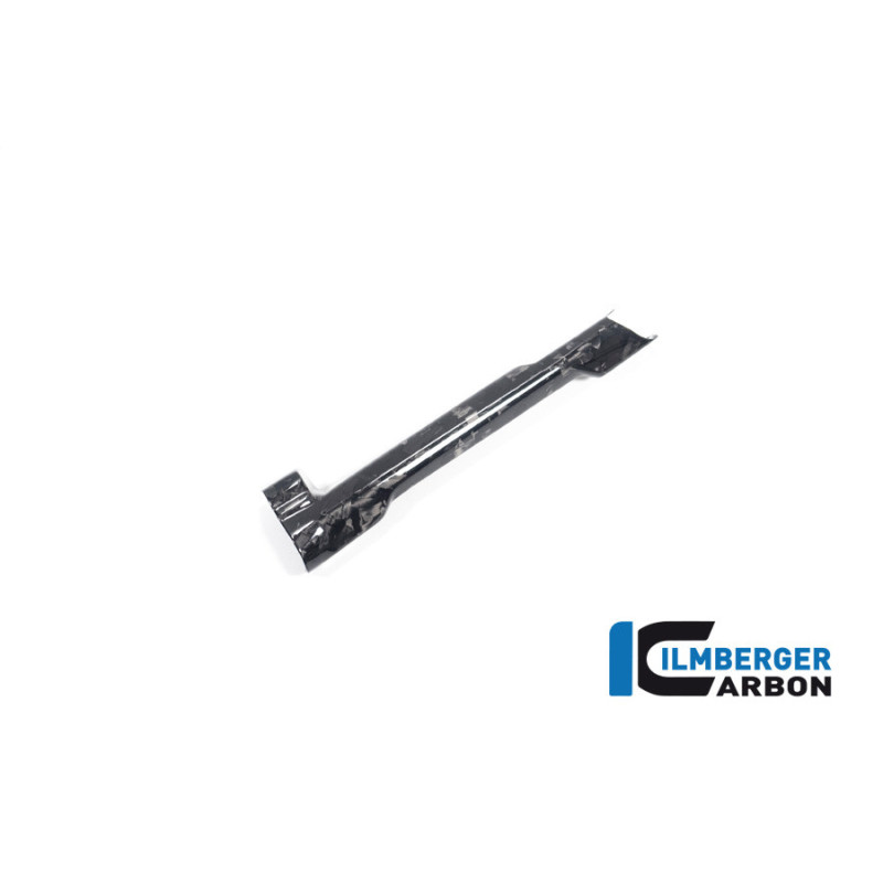 Cache de durite de frein carbone pour R 1300
