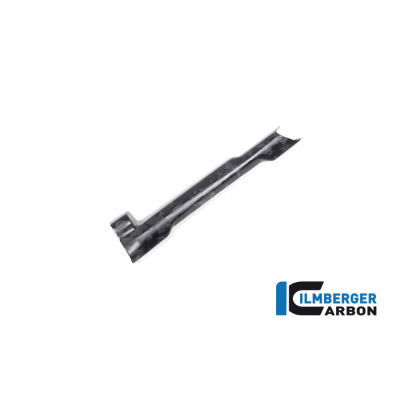 Cache de durite de frein carbone pour R 1300