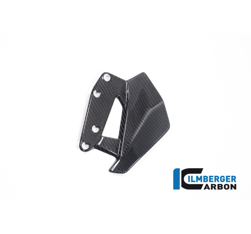 Déflecteur de vent gauche carbone pour BMW R 1300 GS & GSA | Ilmberger Carbon