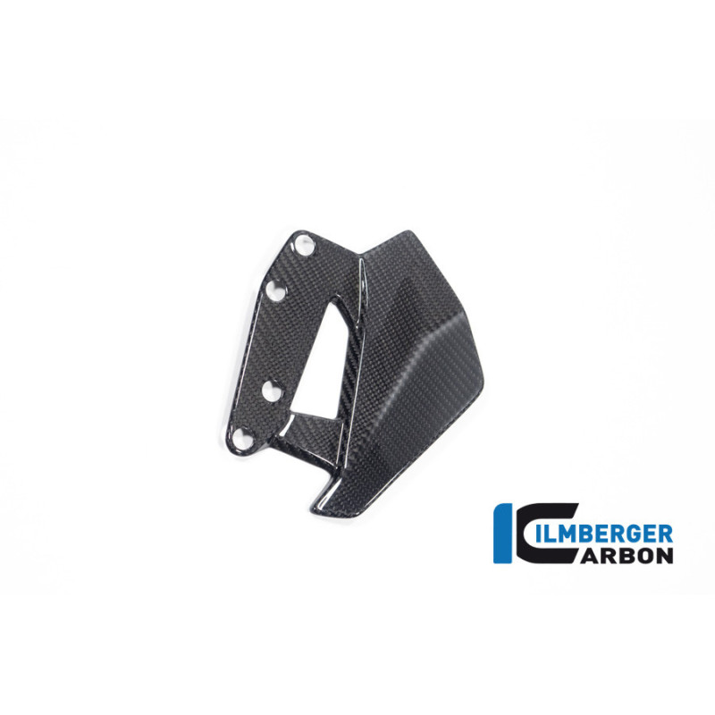 Déflecteur de vent gauche carbone pour BMW R 1300 GS & GSA | Ilmberger Carbon