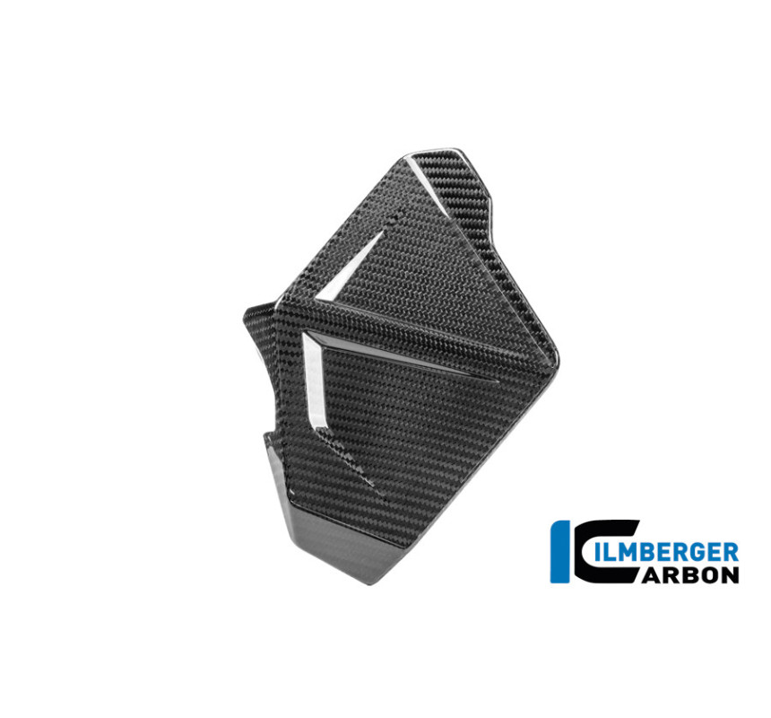 Déflecteur de vent gauche carbone pour BMW R 1300 GS Adventure | Ilmberger Carbon