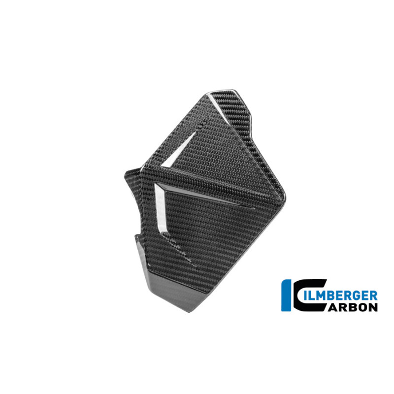 Déflecteur de vent gauche carbone pour BMW R 1300 GS Adventure | Ilmberger Carbon