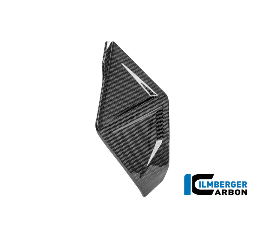 Déflecteur de vent droit carbone pour R 1300 GS Adventure