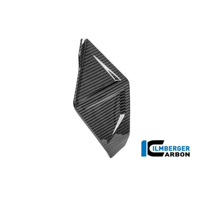 Déflecteur de vent droit carbone pour R 1300 GS Adventure