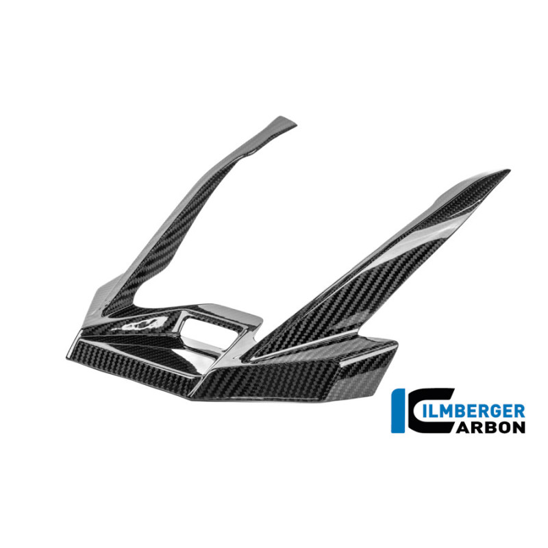 Extension de bec carbone pour BMW R 1300 GS Adventure | Ilmberger Carbon