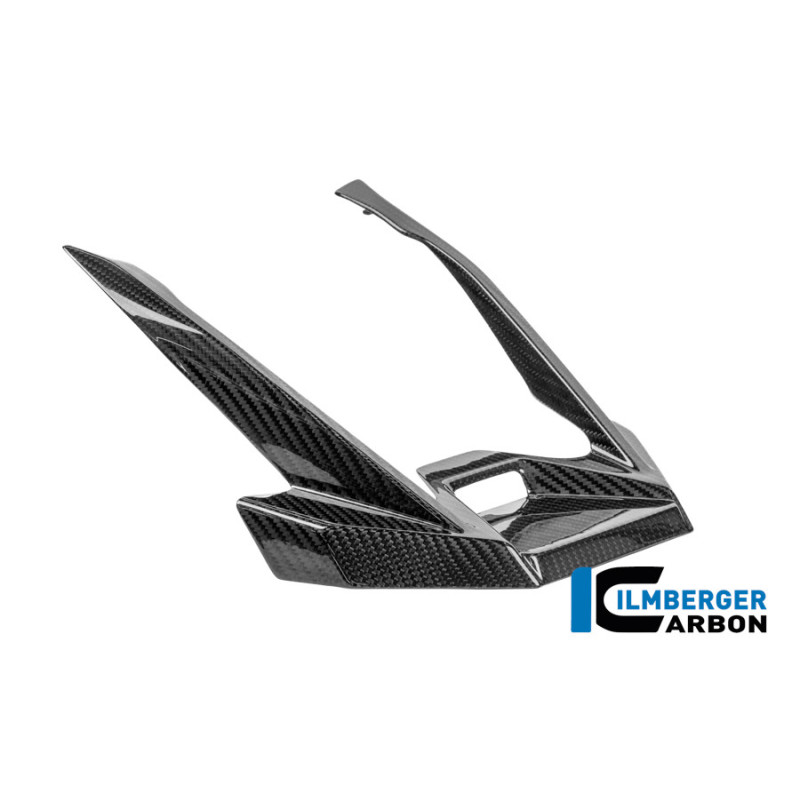 Extension de bec carbone pour R 1300 GS Adventure