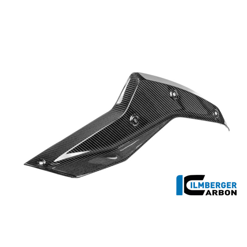 Couvercle de réservoir supérieur gauche carbone pour BMW R 1300 GS Adventure | Ilmberger Carbon
