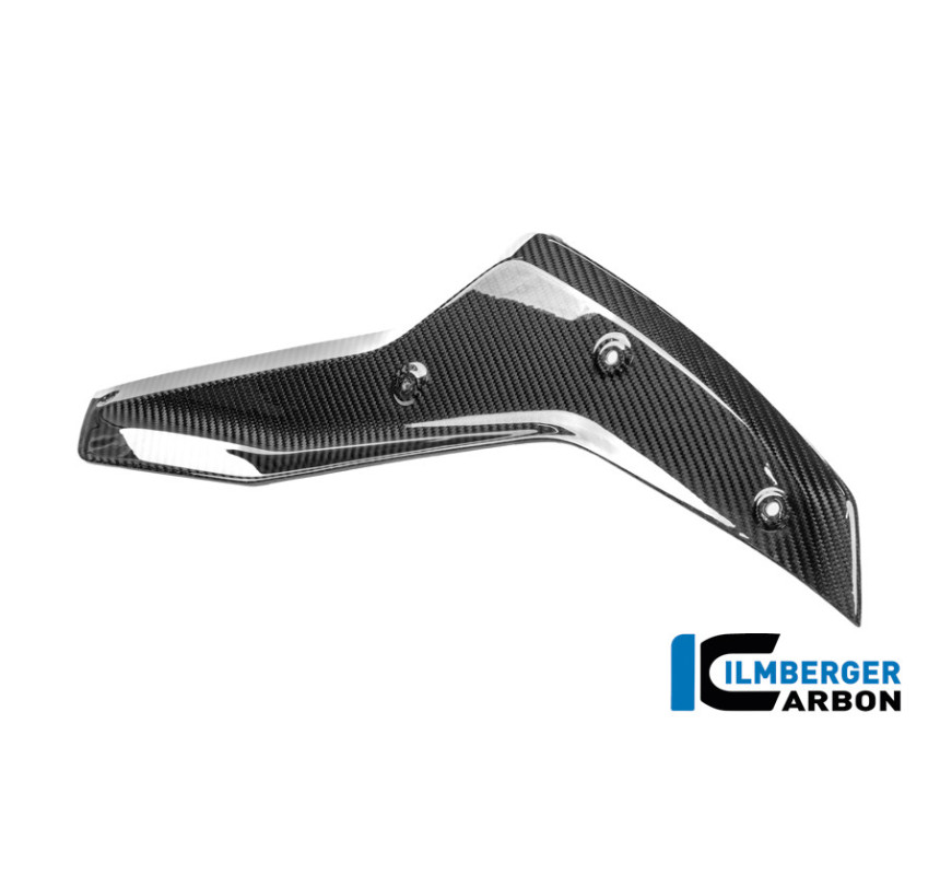 Couvercle de réservoir supérieur gauche carbone pour R 1300 GS Adventure