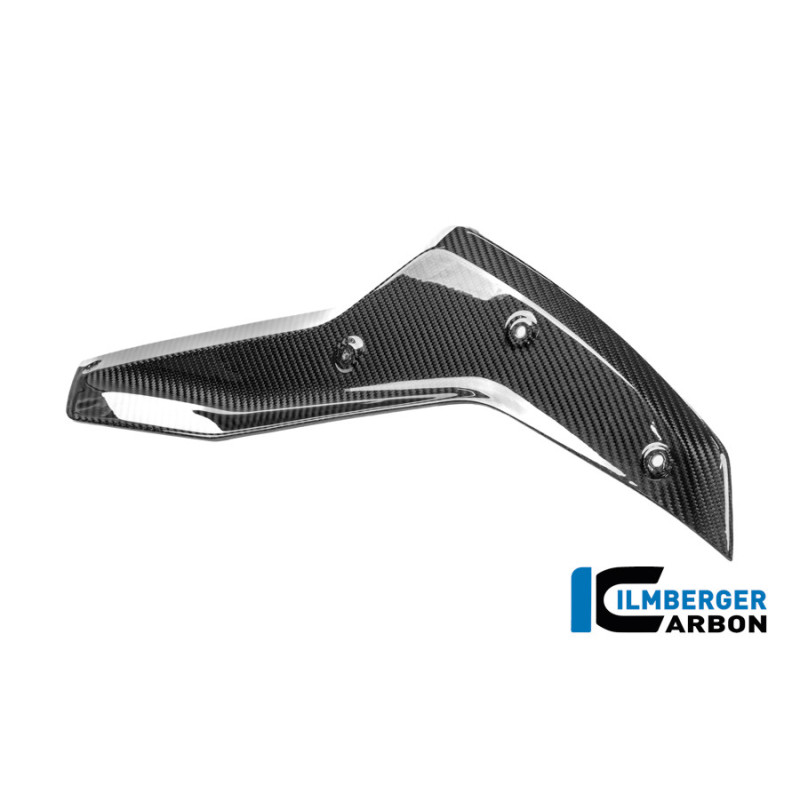 Couvercle de réservoir supérieur gauche carbone pour R 1300 GS Adventure