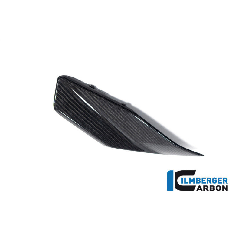 Flanc de réservoir bas gauche carbone pour R 1300 GS