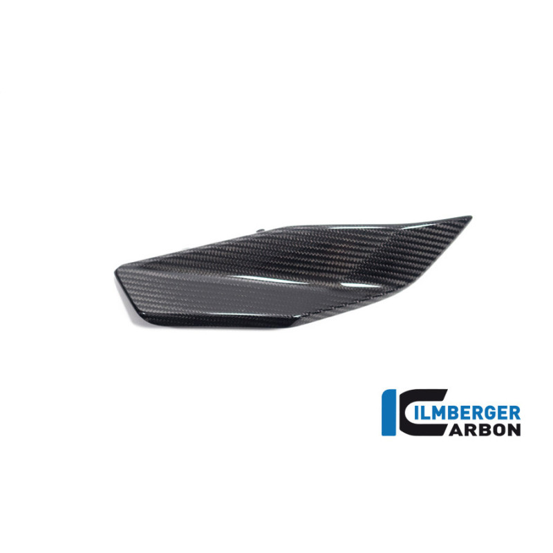 Flanc de réservoir bas gauche carbone pour R 1300 GS