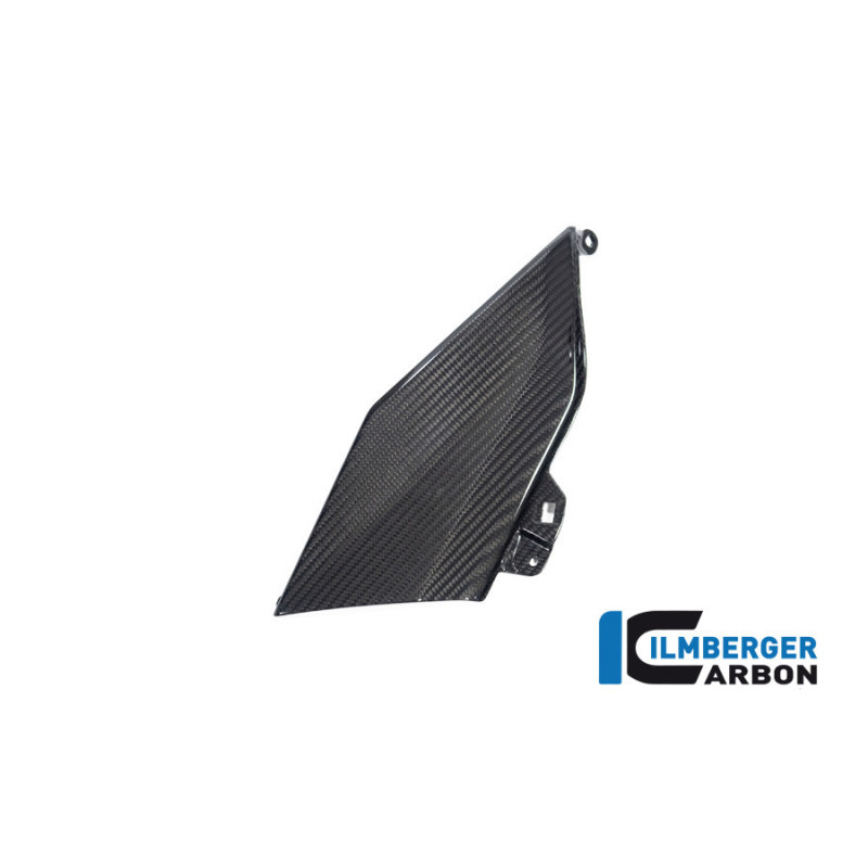Flanc de réservoir haut gauche carbone pour BMW R 1300 GS | Ilmberger Carbon