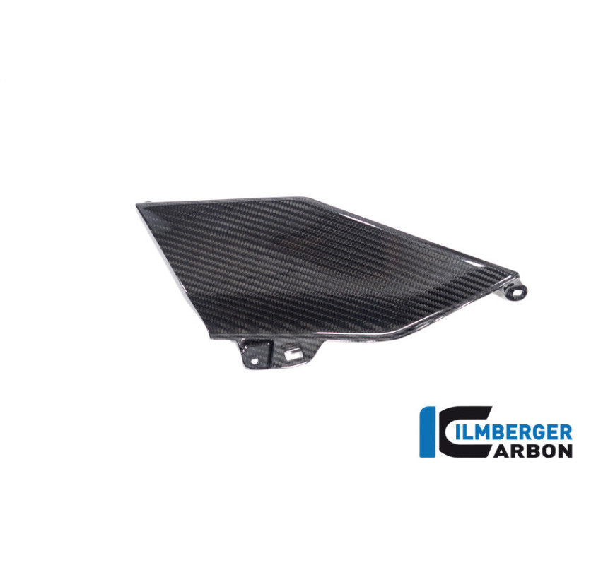 Flanc de réservoir haut gauche carbone pour R 1300 GS