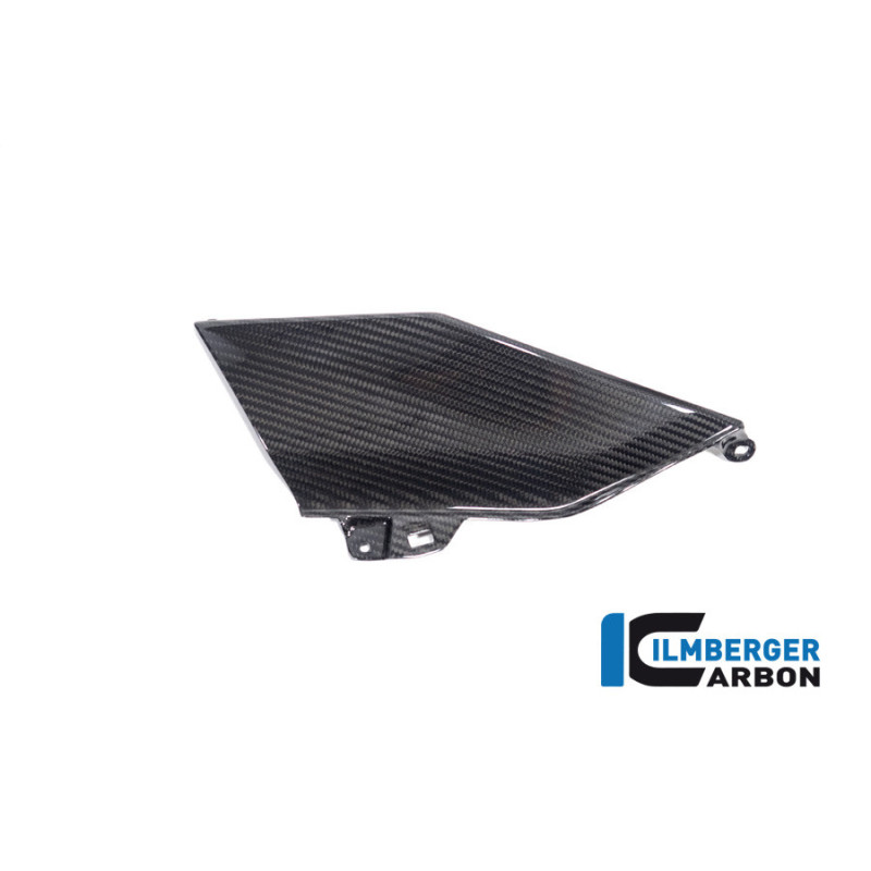 Flanc de réservoir haut gauche carbone pour R 1300 GS