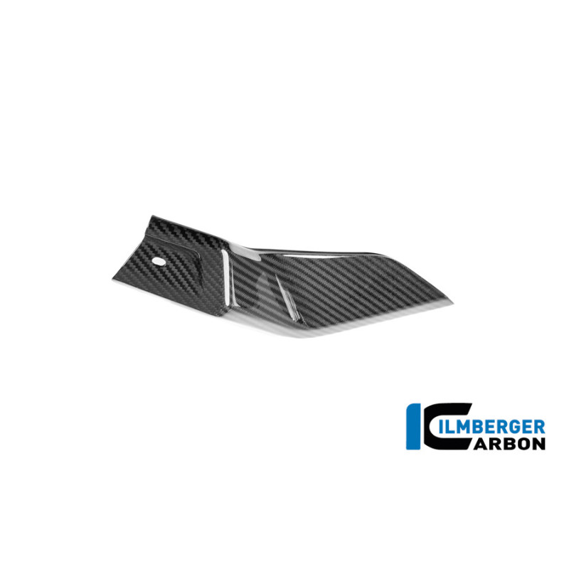 Flanc de réservoir bas gauche carbone pour R 1300 GS Adventure