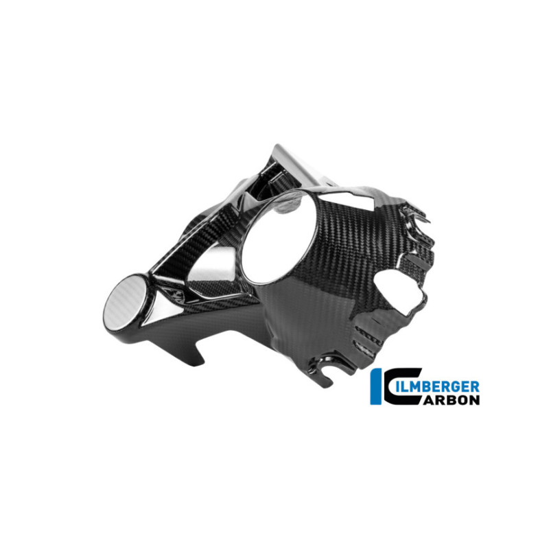 Cache de carter de cardan carbone pour BMW R 1300 GS & GSA | Ilmberger Carbon