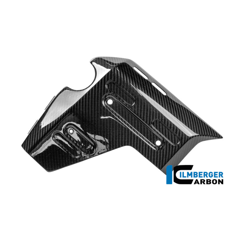 Habillage de radiateur gauche carbone pour BMW R 1300 GS Adventure | Ilmberger Carbon