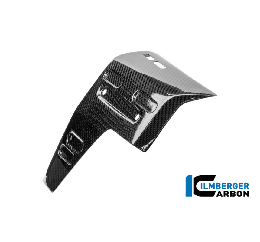 Habillage de radiateur gauche carbone pour R 1300 GS Adventure
