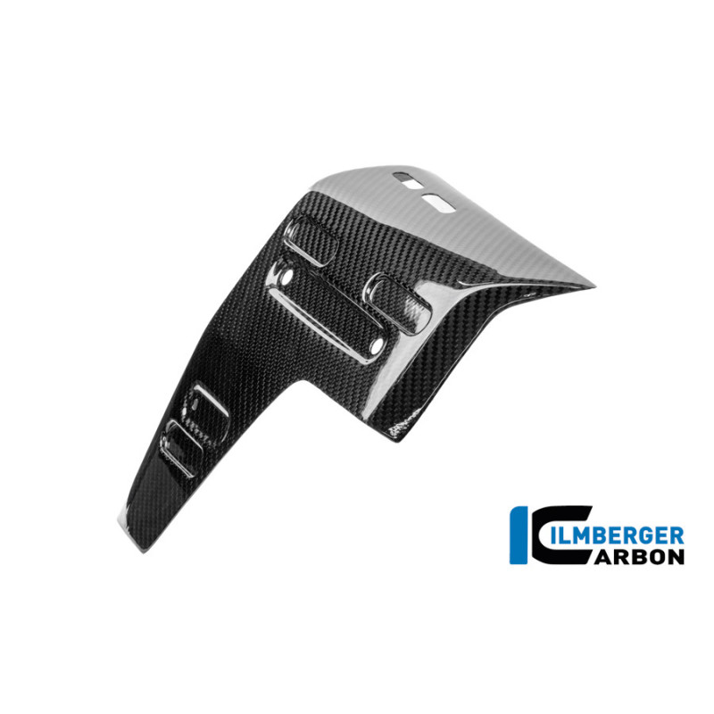 Habillage de radiateur gauche carbone pour R 1300 GS Adventure