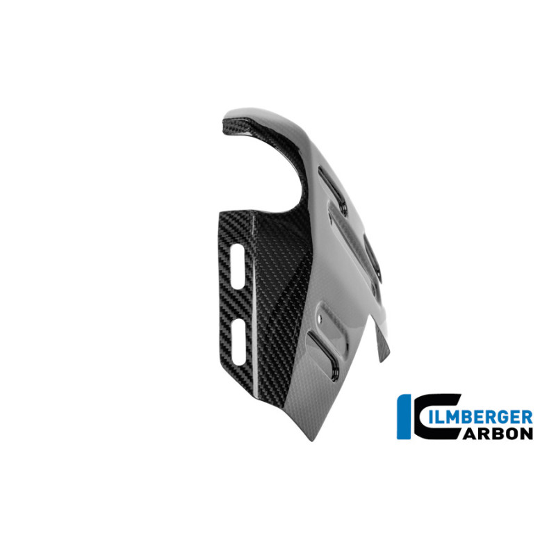 Habillage de radiateur gauche carbone pour BMW R 1300 GS Adventure | Ilmberger Carbon