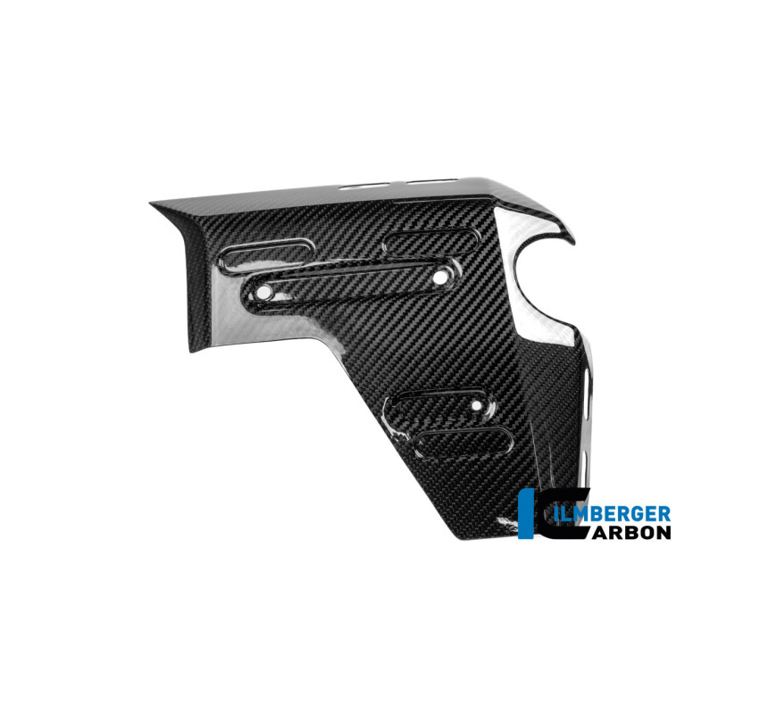 Habillage de radiateur droit carbone pour BMW R 1300 GS Adventure | Ilmberger Carbon
