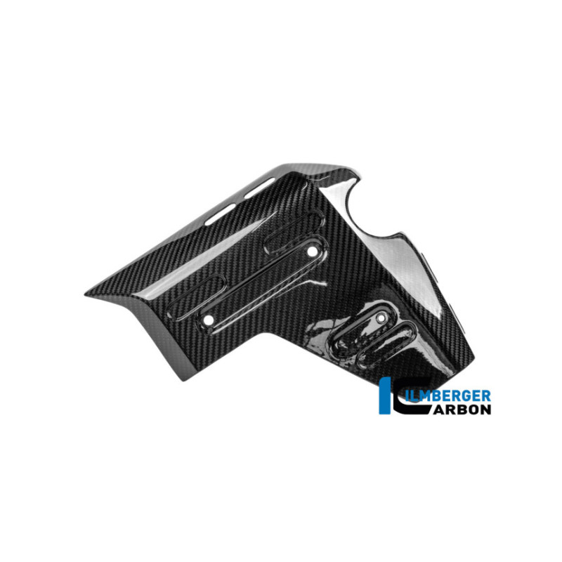 Habillage de radiateur droit carbone pour R 1300 GS Adventure