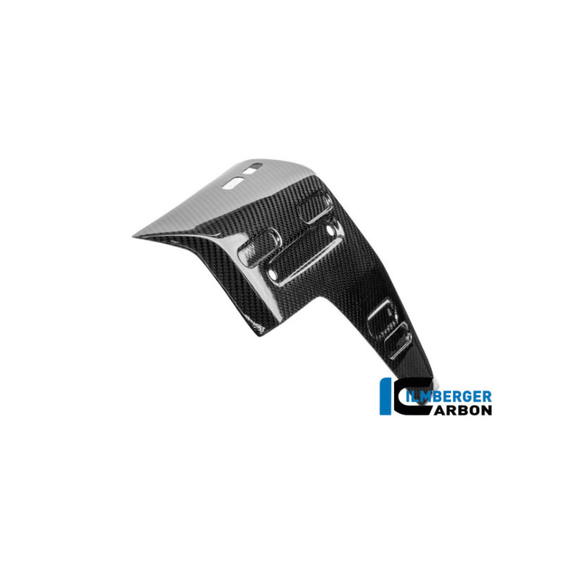 Habillage de radiateur droit carbone pour R 1300 GS Adventure