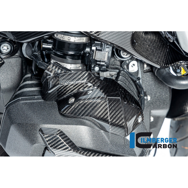 Cache d'injecteur droit carbone pour R 1300 GS & GSA