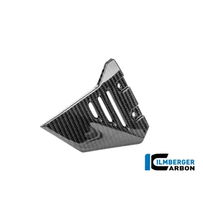 Couvercle de cadre avant gauche carbone pour BMW R 1300 GS Adventure | Ilmberger Carbon