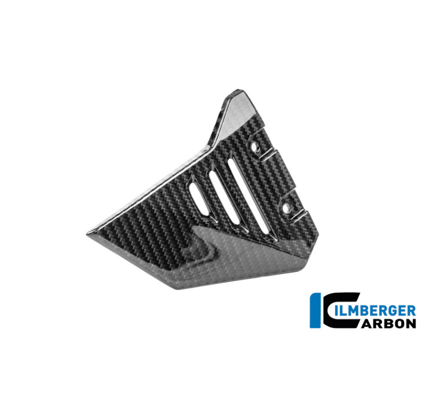 Couvercle de cadre avant gauche carbone pour BMW R 1300 GS Adventure | Ilmberger Carbon