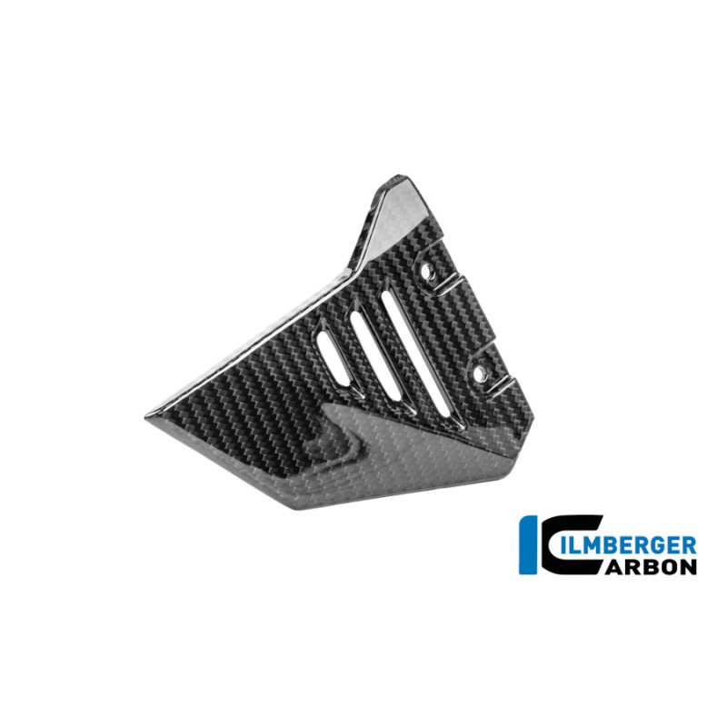 Couvercle de cadre avant gauche carbone pour BMW R 1300 GS Adventure | Ilmberger Carbon