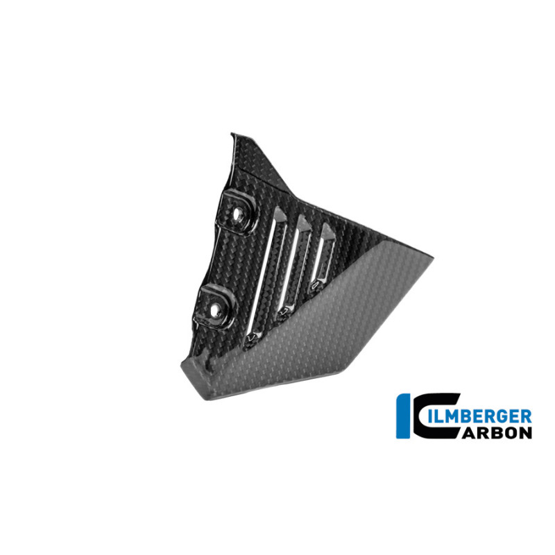 Couvercle de cadre avant droit carbone pour BMW R 1300 GS Adventure | Ilmberger Carbon
