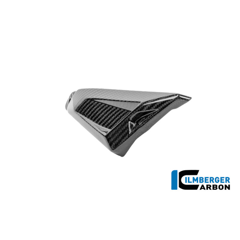 Couvercle de cadre arrière droit carbone pour BMW R 1300 GS Adventure | Ilmberger Carbon