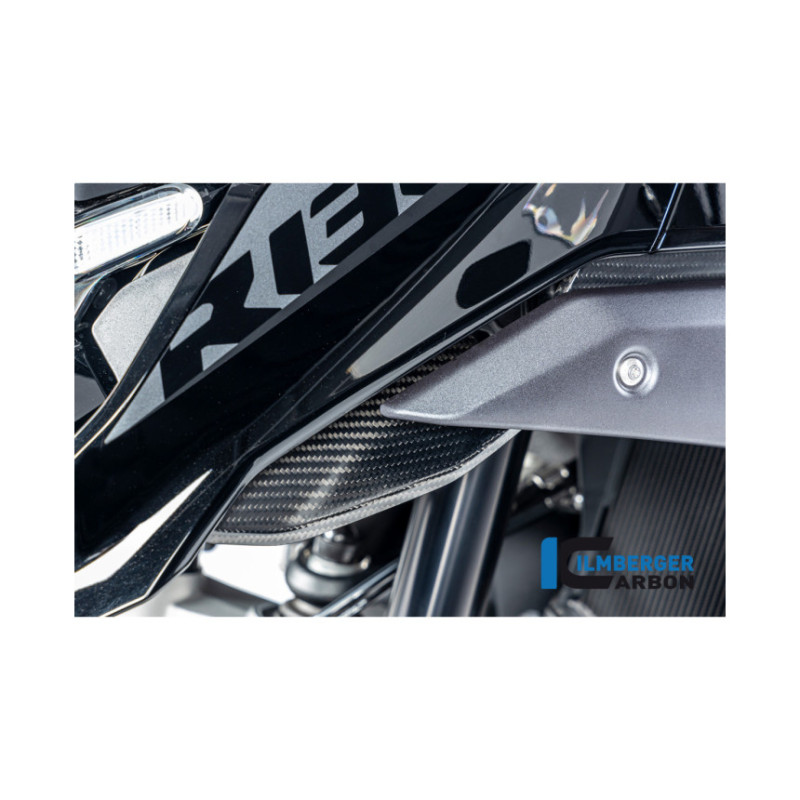 Habillage de sortie d'air gauche carbone pour R 1300 GS