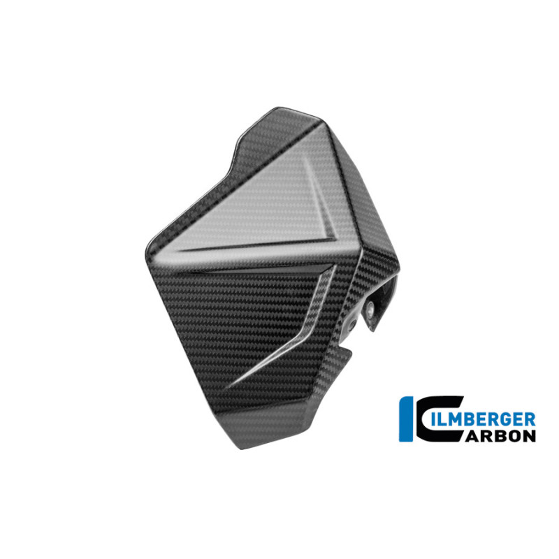 Déflecteur de vent droit carbone pour R 1300 GS Adventure