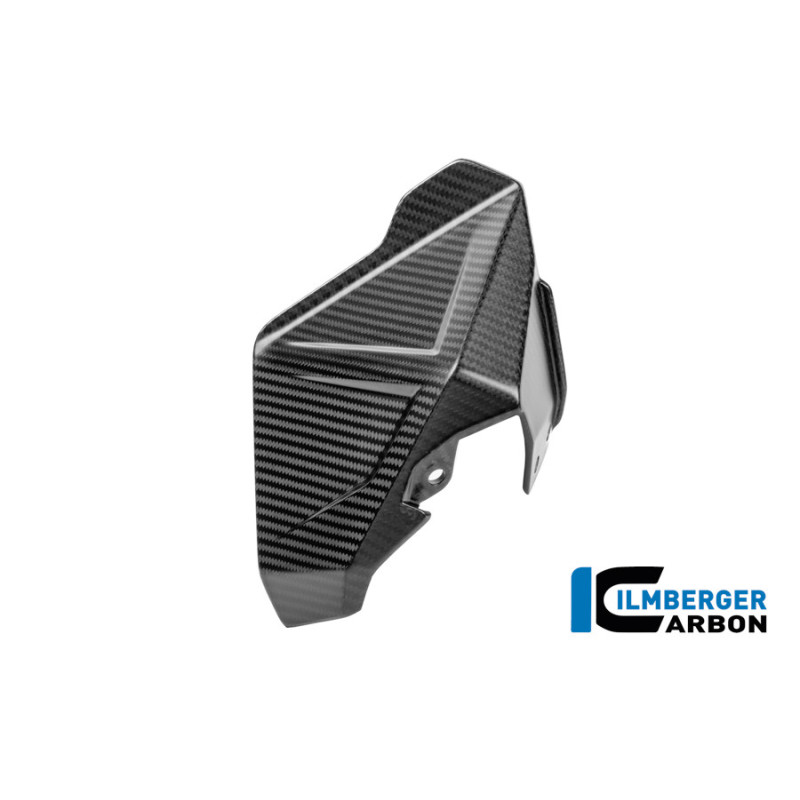 Déflecteur de vent droit carbone pour R 1300 GS Adventure