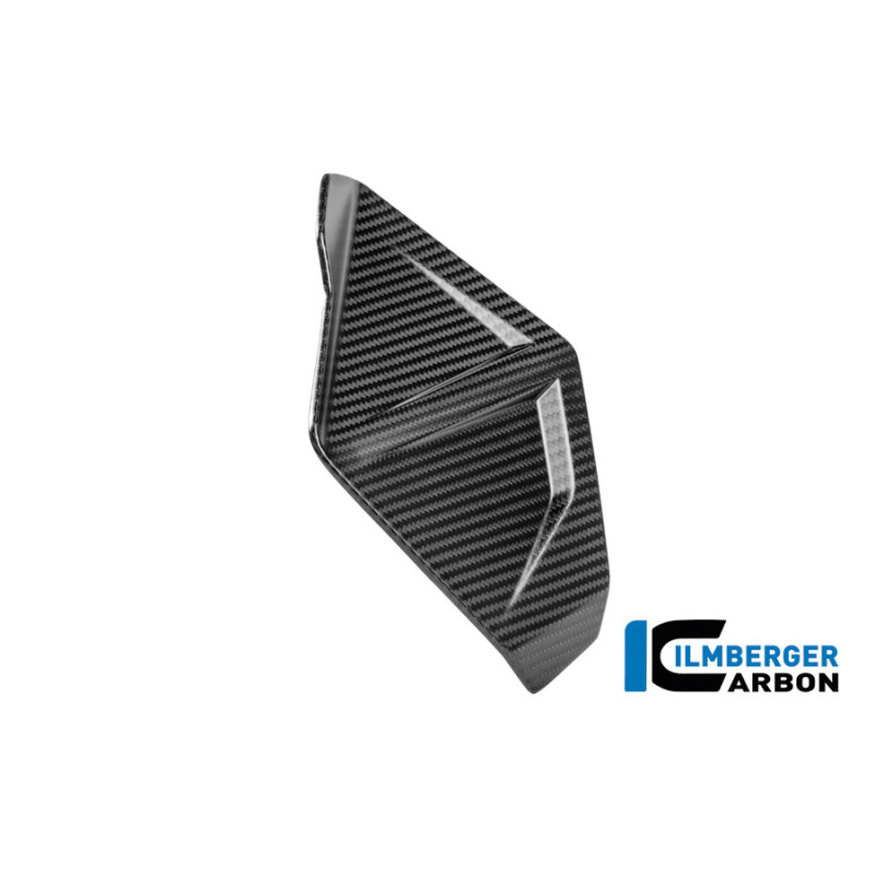 Déflecteur de vent droit carbone pour R 1300 GS Adventure