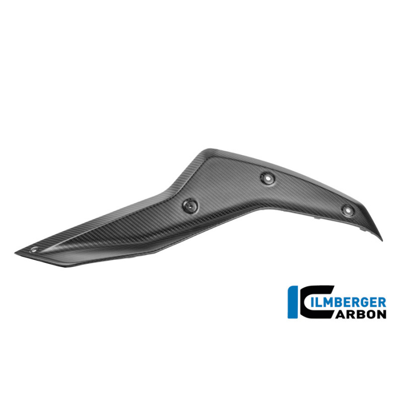 Couvercle de réservoir supérieur gauche carbone pour BMW R 1300 GS Adventure | Ilmberger Carbon