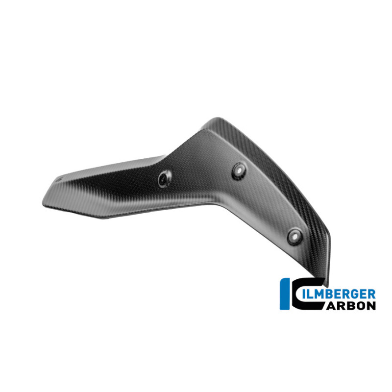 Couvercle de réservoir supérieur gauche carbone pour BMW R 1300 GS Adventure | Ilmberger Carbon