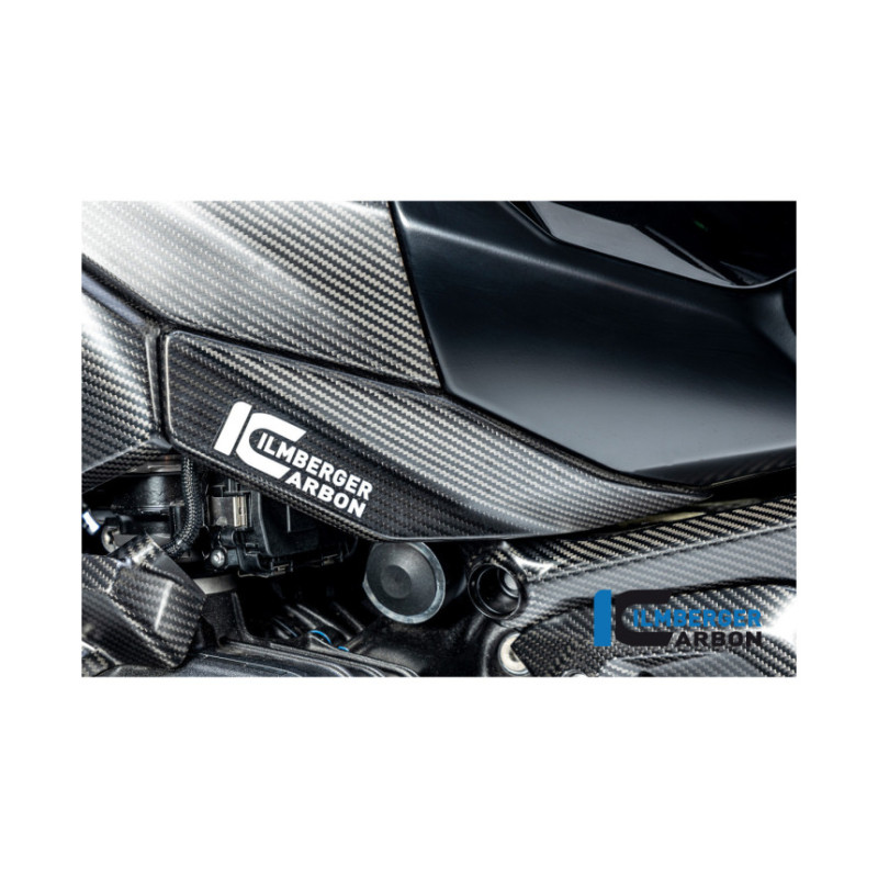 Flanc de réservoir bas gauche carbone pour BMW R 1300 GS | Ilmberger Carbon