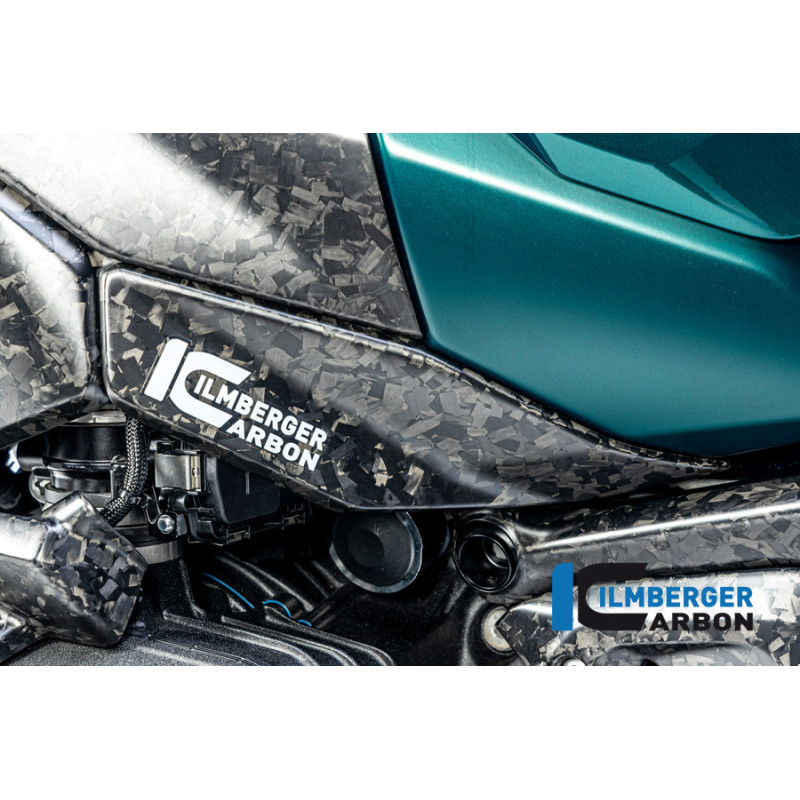 Flanc de réservoir bas gauche carbone pour R 1300 GS