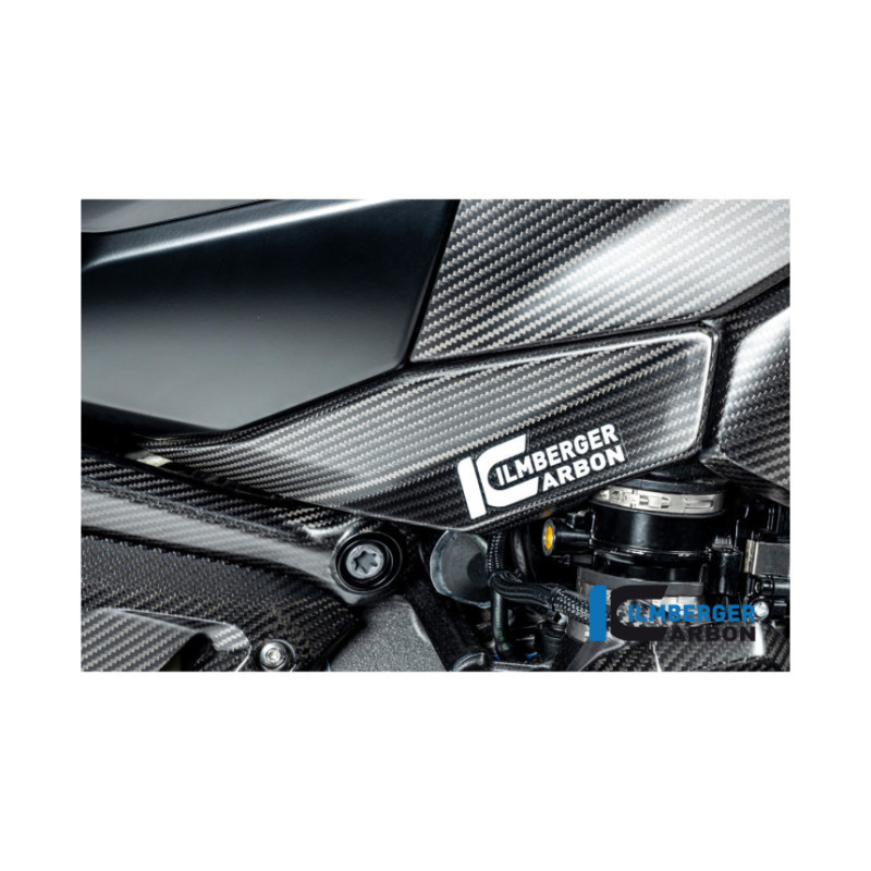 Flanc de réservoir bas droit carbone pour R 1300 GS